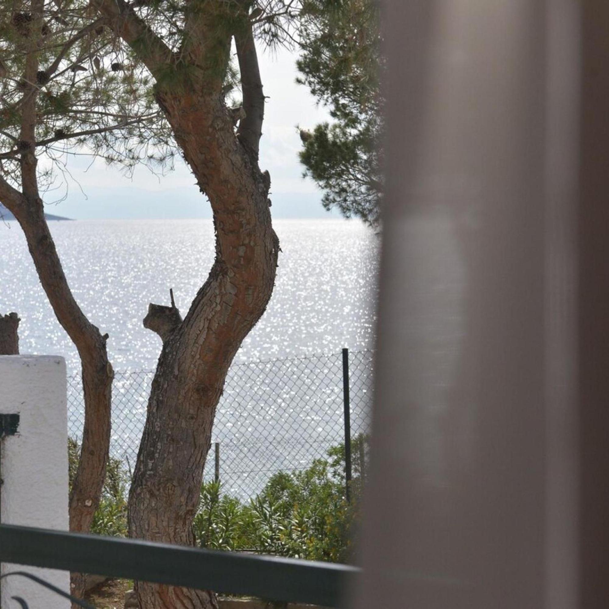 Salamis Beachfront House Eksteriør billede